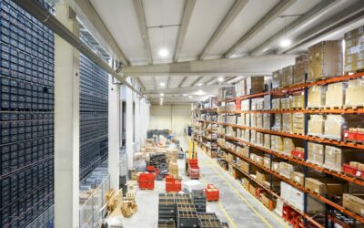 Mantenimiento de muelles de carga: guía esencial para evitar averías
